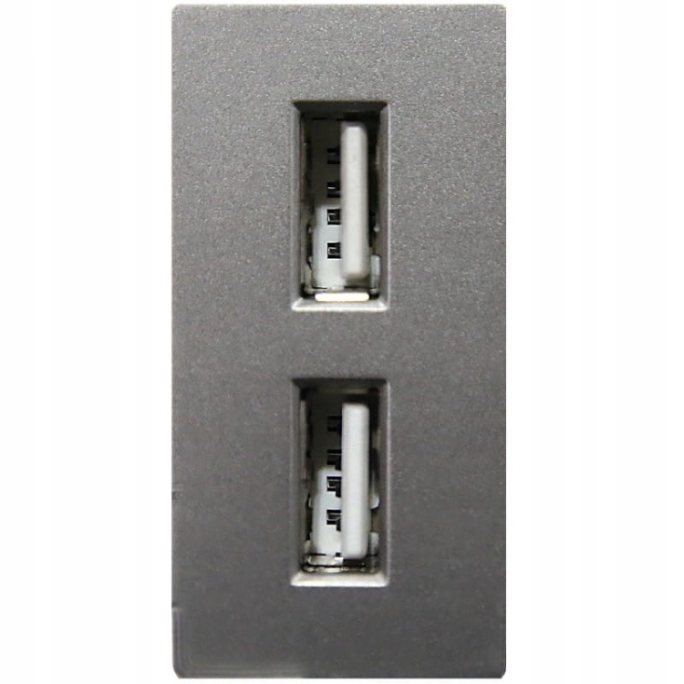 Modul Dvojitá Nabíjačka USB Typ A+A 2.4A Sivá Do Rámikov